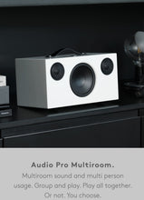 Load image into Gallery viewer, Audiopro C10