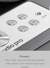 Load image into Gallery viewer, Audiopro C10